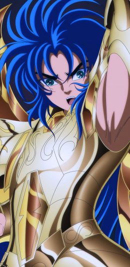 [2436x1125]黄金圣斗士 圣斗士星矢 日本 漫画 加隆 双子座 苹果手机动漫壁纸图片