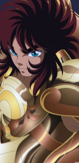 [2436x1125]黄金圣斗士 圣斗士星矢 日本 漫画 童虎 天秤座 苹果手机动漫壁纸图片