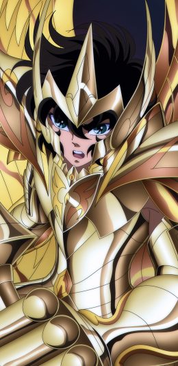 [2436x1125]黄金圣斗士 圣斗士星矢 日本 漫画 艾俄洛斯 射手座 苹果手机动漫壁纸图片