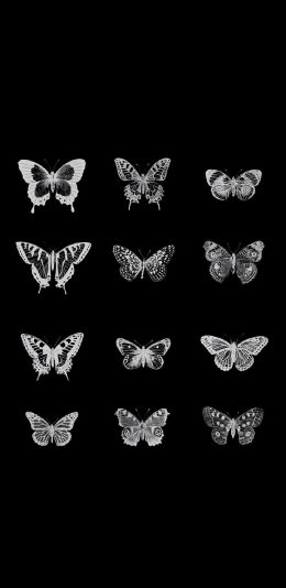 [2436x1125]黑色背景 蝴蝶 元素 黑白 苹果手机动漫壁纸图片