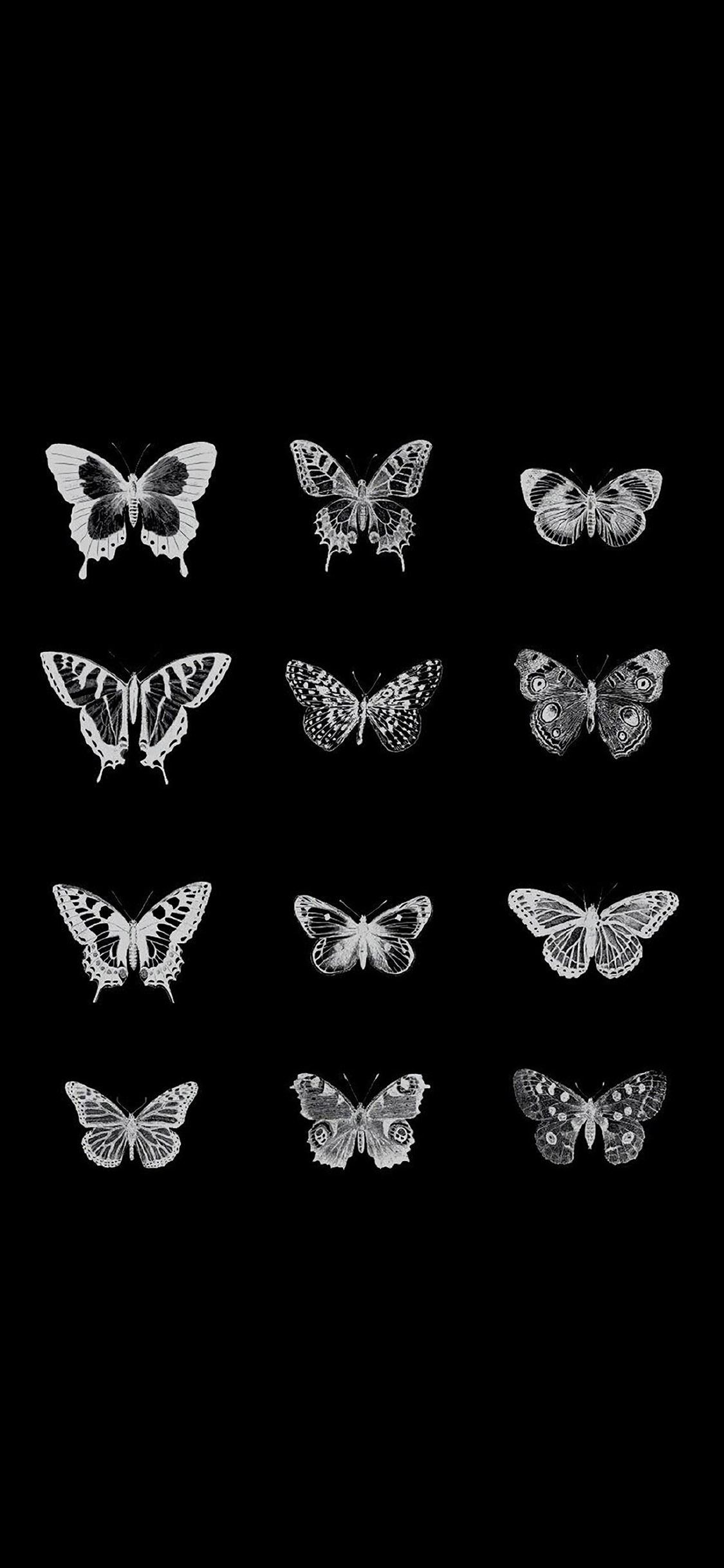 [2436×1125]黑色背景 蝴蝶 元素 黑白 苹果手机动漫壁纸图片