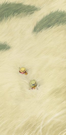 [2436x1125]龙猫 动画 宫崎骏 海报 苹果手机动漫壁纸图片