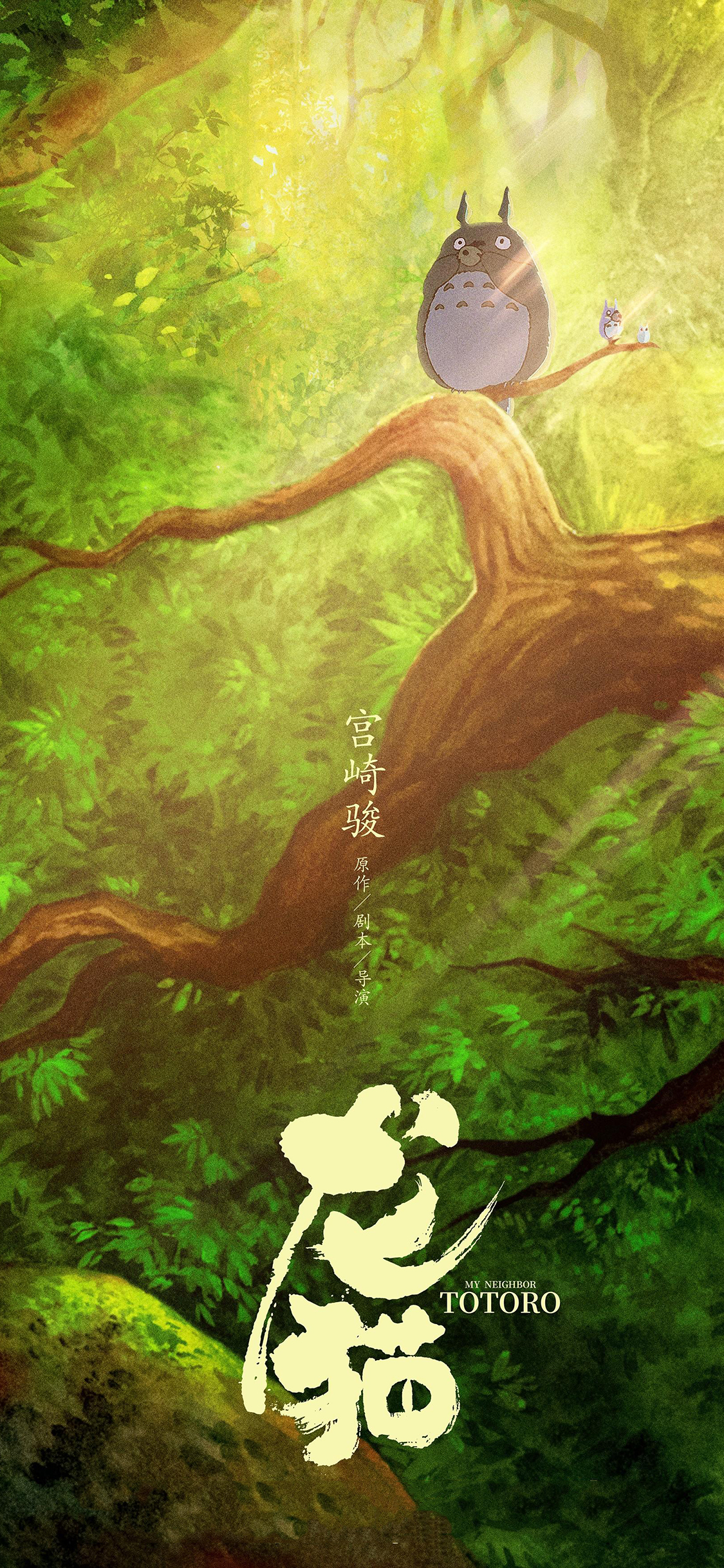 [2436×1125]龙猫 宫崎骏 动画 日本 苹果手机动漫壁纸图片