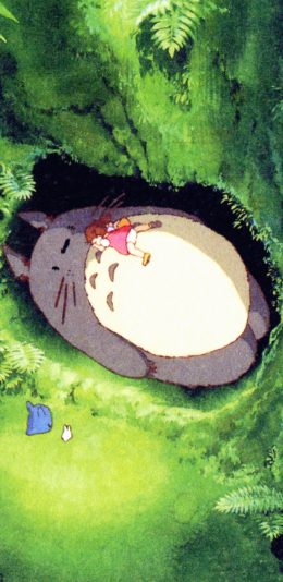 [2436x1125]龙猫 宫崎骏 日本 漫画 丛林 苹果手机动漫壁纸图片