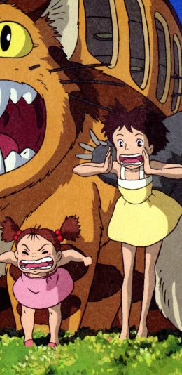 [2436x1125]龙猫 宫崎骏 日本 漫画 呼喊 苹果手机动漫壁纸图片