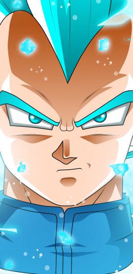 [2436x1125]龙珠超 动画 漫画 日本 蓝色 苹果手机动漫壁纸图片