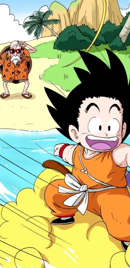 [2436x1125]龟仙人 孙悟空 七龙珠 海岛 动画 苹果手机动漫壁纸图片