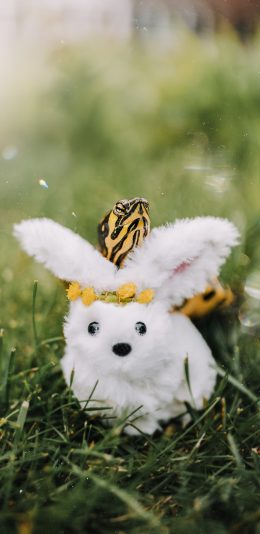 [2436x1125]乌龟 草地 玩具 兔子 苹果手机壁纸图片