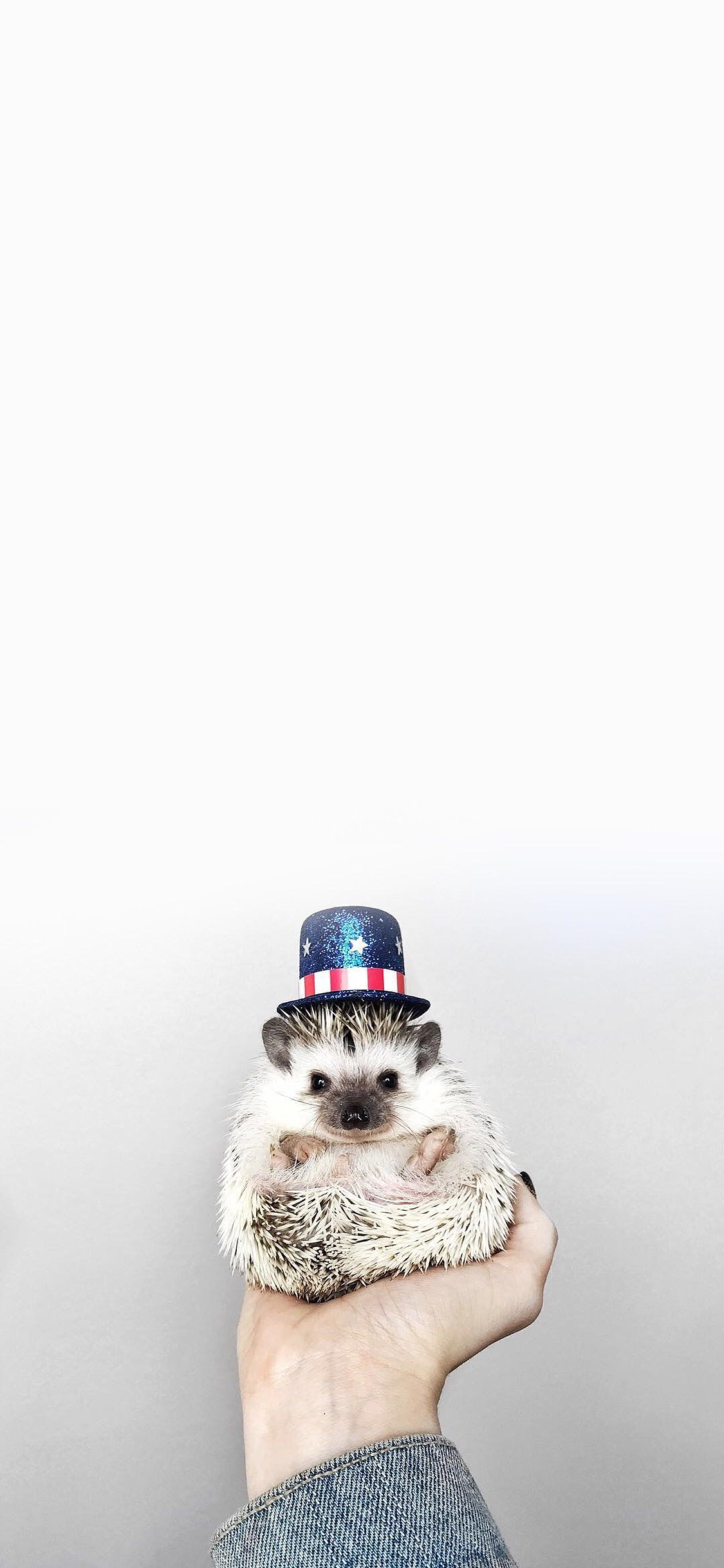 [2436×1125]刺猬 魔术帽 可爱 迷你 手 苹果手机壁纸图片