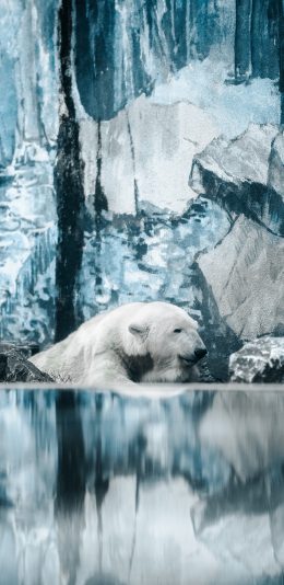 [2436x1125]北极熊 冰川 保护动物 海面 苹果手机壁纸图片