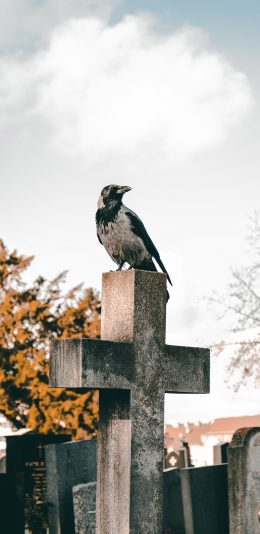 [2436x1125]十字架 信仰 石像 飞鸟 栖息 苹果手机壁纸图片