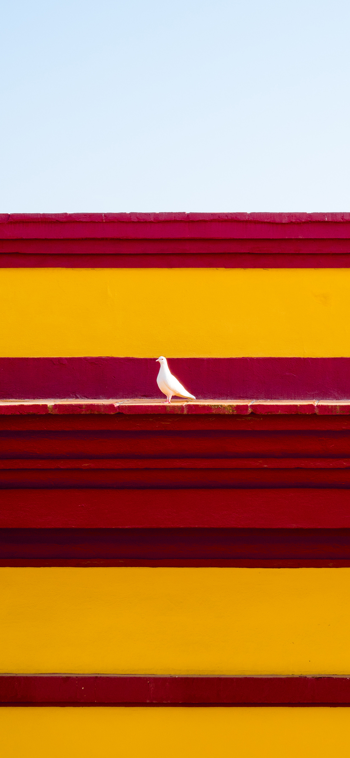 [2436×1125]台阶 色彩 红黄 白鸽 飞鸟 苹果手机壁纸图片