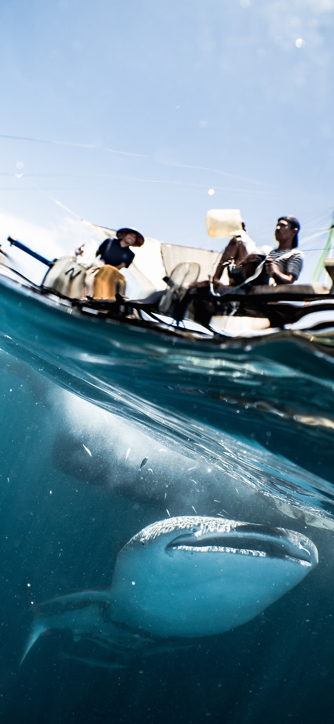 [2436×1125]垂钓 大海 海鱼 捕鱼 苹果手机壁纸图片