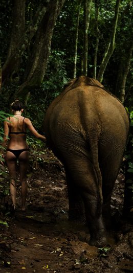 [2436x1125]大象 丛林 美女 背影 性感 苹果手机壁纸图片