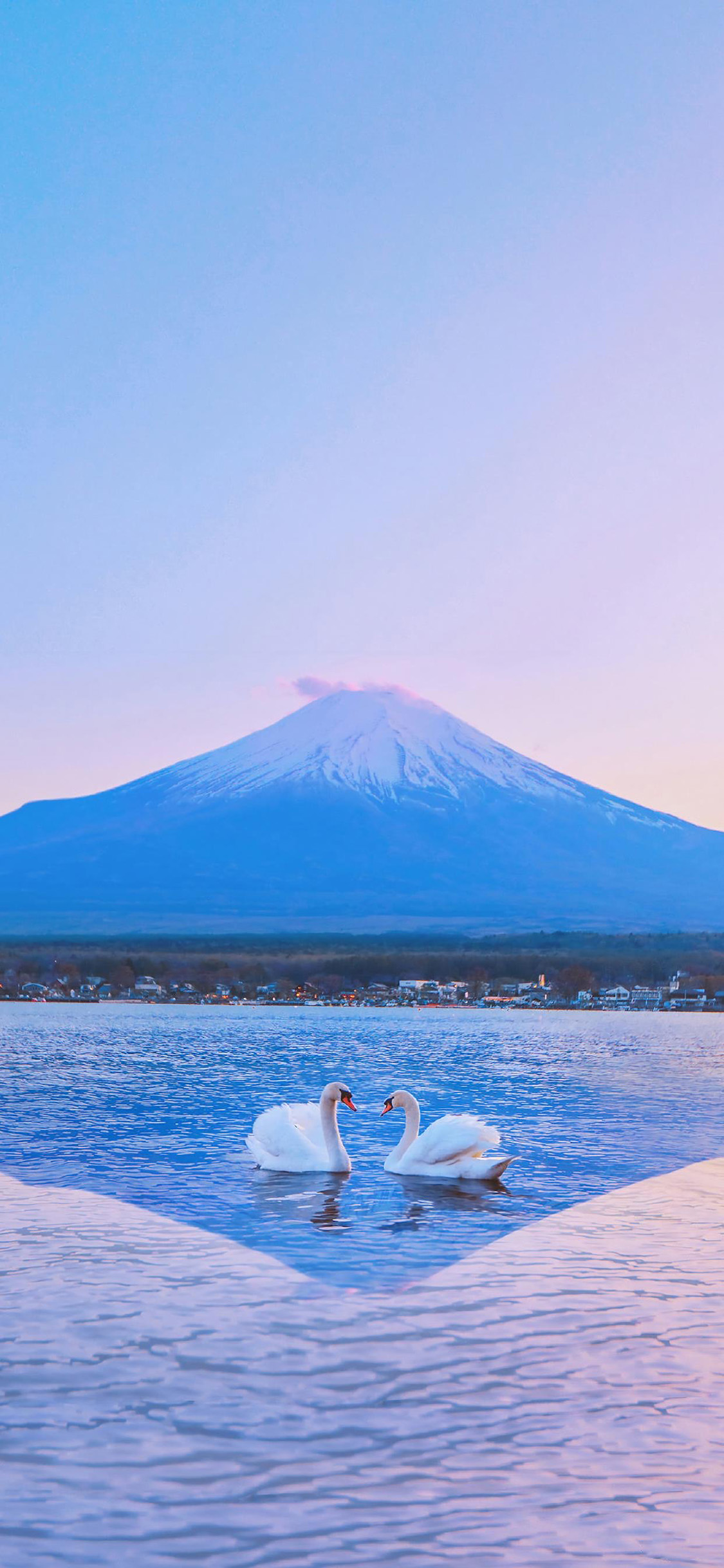 [2436×1125]天鹅 翅膀 唯美 湖水 蓝色 雪山 苹果手机壁纸图片