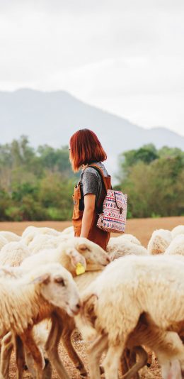 [2436x1125]女孩侧颜 羊群 小羊羔 苹果手机壁纸图片