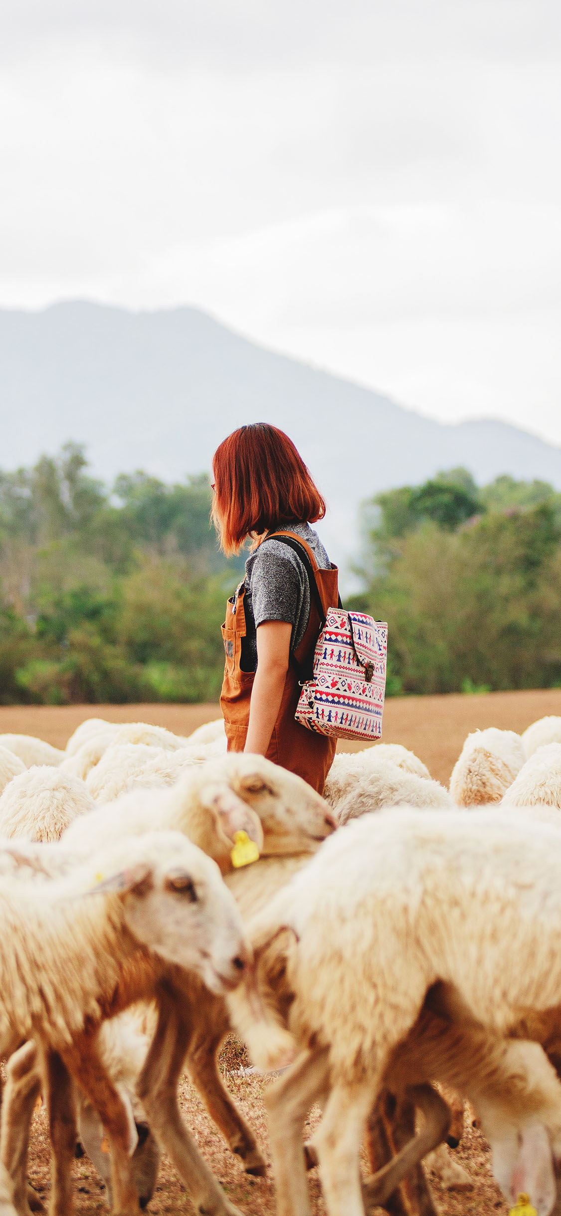 [2436×1125]女孩侧颜 羊群 小羊羔 苹果手机壁纸图片