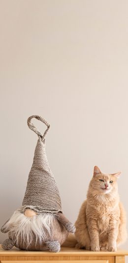 [2436x1125]宠物 猫咪 橘猫 玩偶 苹果手机壁纸图片