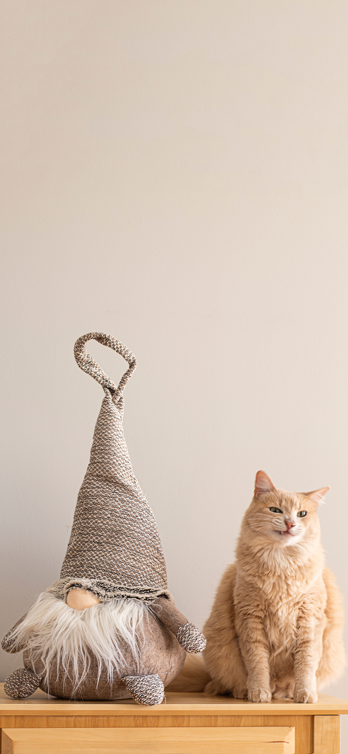 [2436×1125]宠物 猫咪 橘猫 玩偶 苹果手机壁纸图片