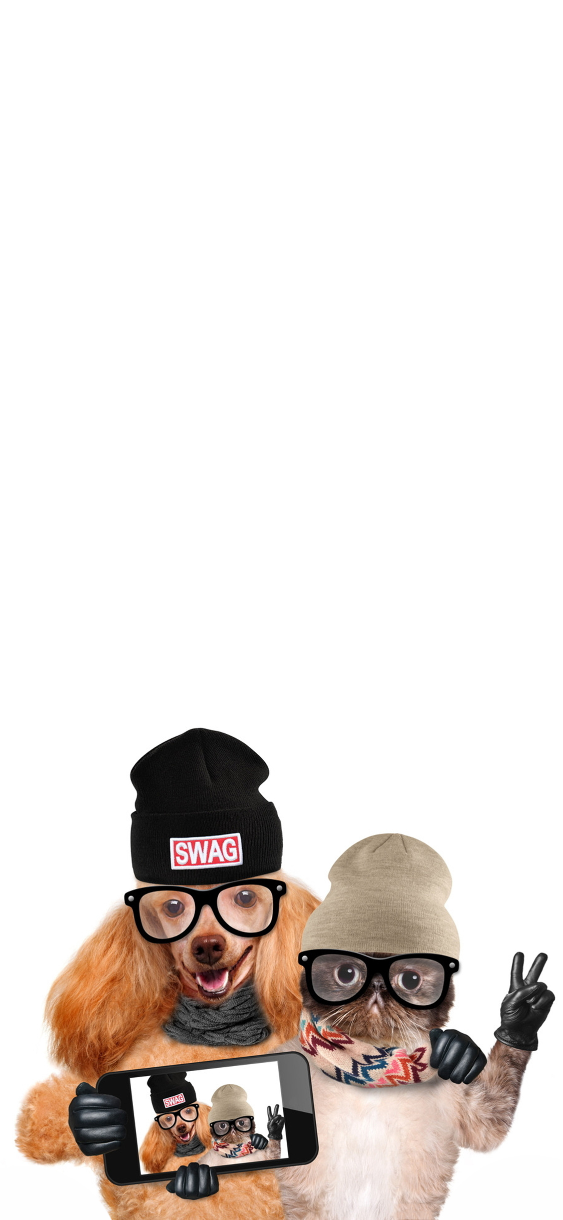 [2436×1125]宠物 猫咪 狗狗 写真 苹果手机壁纸图片