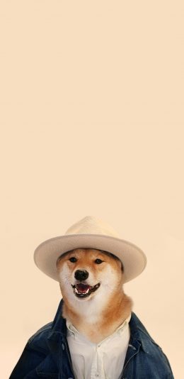 [2436x1125]宠物狗 日本 柴犬 秋田犬 苹果手机壁纸图片