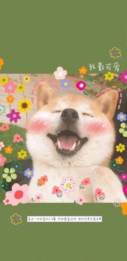 [2436x1125]宠物狗 柴犬 可爱 小花 苹果手机壁纸图片