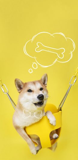 [2436x1125]宠物狗 柴犬 秋田犬 秋千（取自站酷网：PS亲宠摄影） 苹果手机壁纸图片