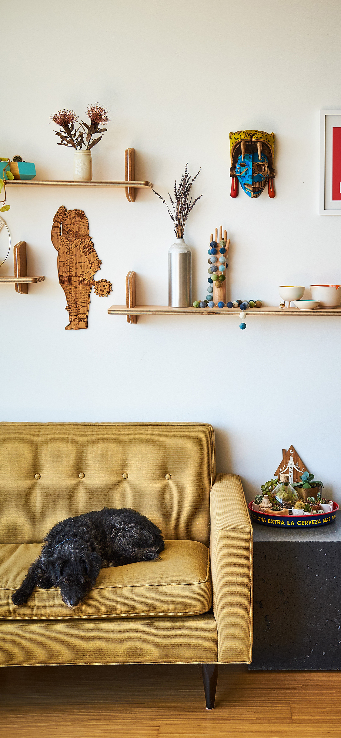 [2436×1125]宠物狗 狗子 黑色 沙发 苹果手机壁纸图片