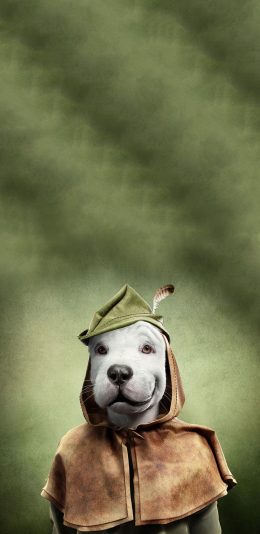 [2436x1125]宠物狗 王星 服饰 创意写真 苹果手机壁纸图片