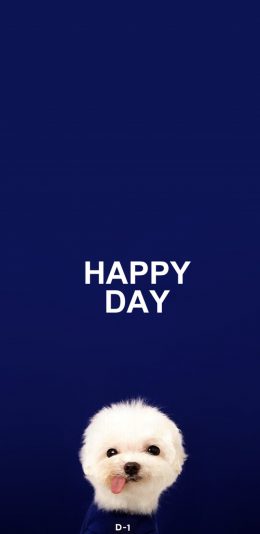 [2436x1125]宠物狗 白色 可爱 HAPPY DAY 苹果手机壁纸图片