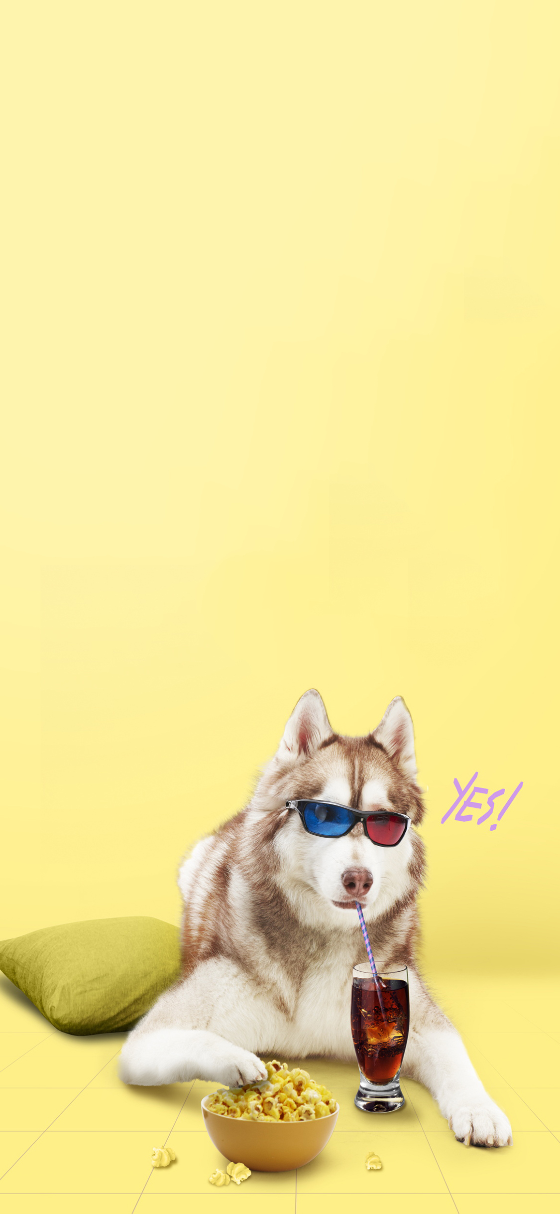 [2436×1125]宠物狗 阿拉斯加犬 大型犬 创意 写真 苹果手机壁纸图片