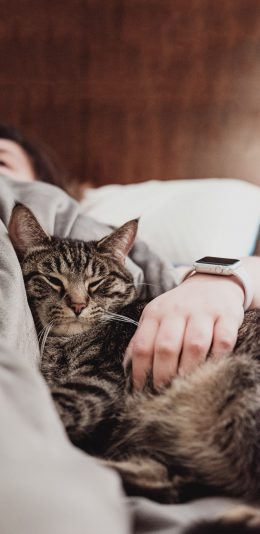 [2436x1125]宠物猫 喵星人 猫咪 睡觉 苹果手机壁纸图片