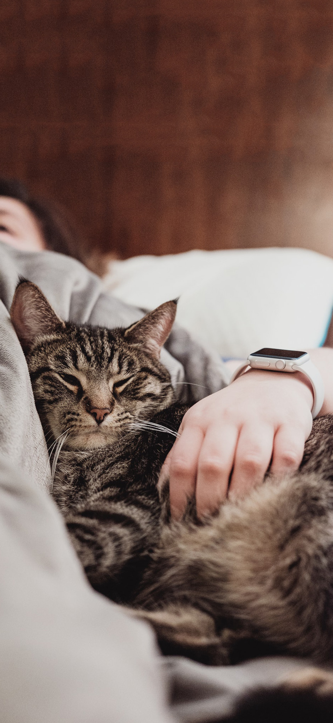 [2436×1125]宠物猫 喵星人 猫咪 睡觉 苹果手机壁纸图片