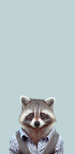 [2436x1125]小浣熊 衬衫 马甲 创意 苹果手机壁纸图片