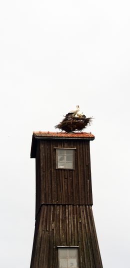 [2436x1125]建筑 木屋 鸟巢 飞鸟 苹果手机壁纸图片
