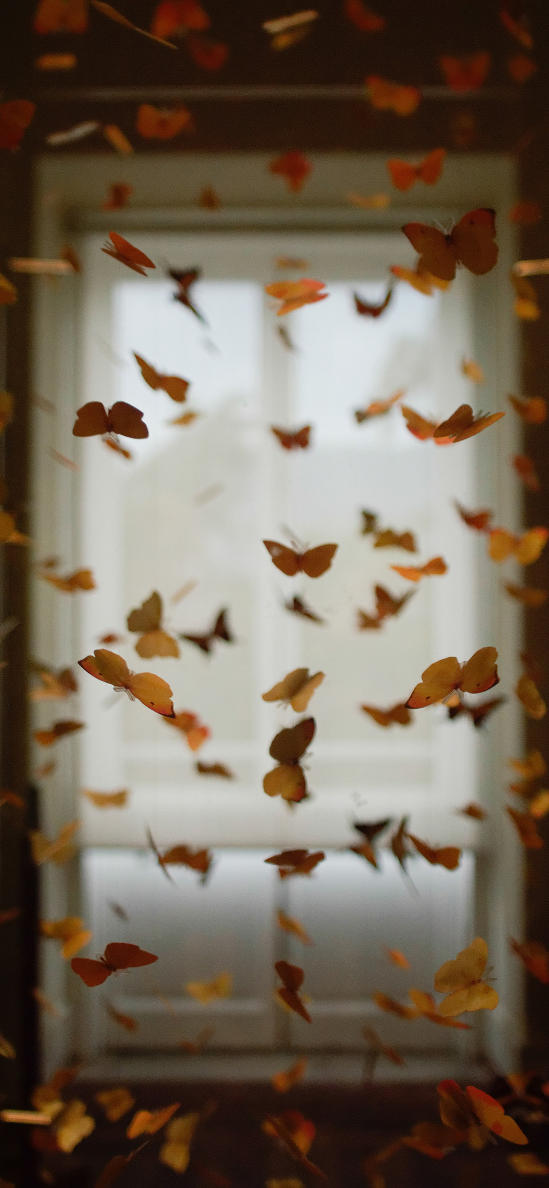 [2436×1125]昆虫 蝴蝶 黄色 密集 苹果手机壁纸图片