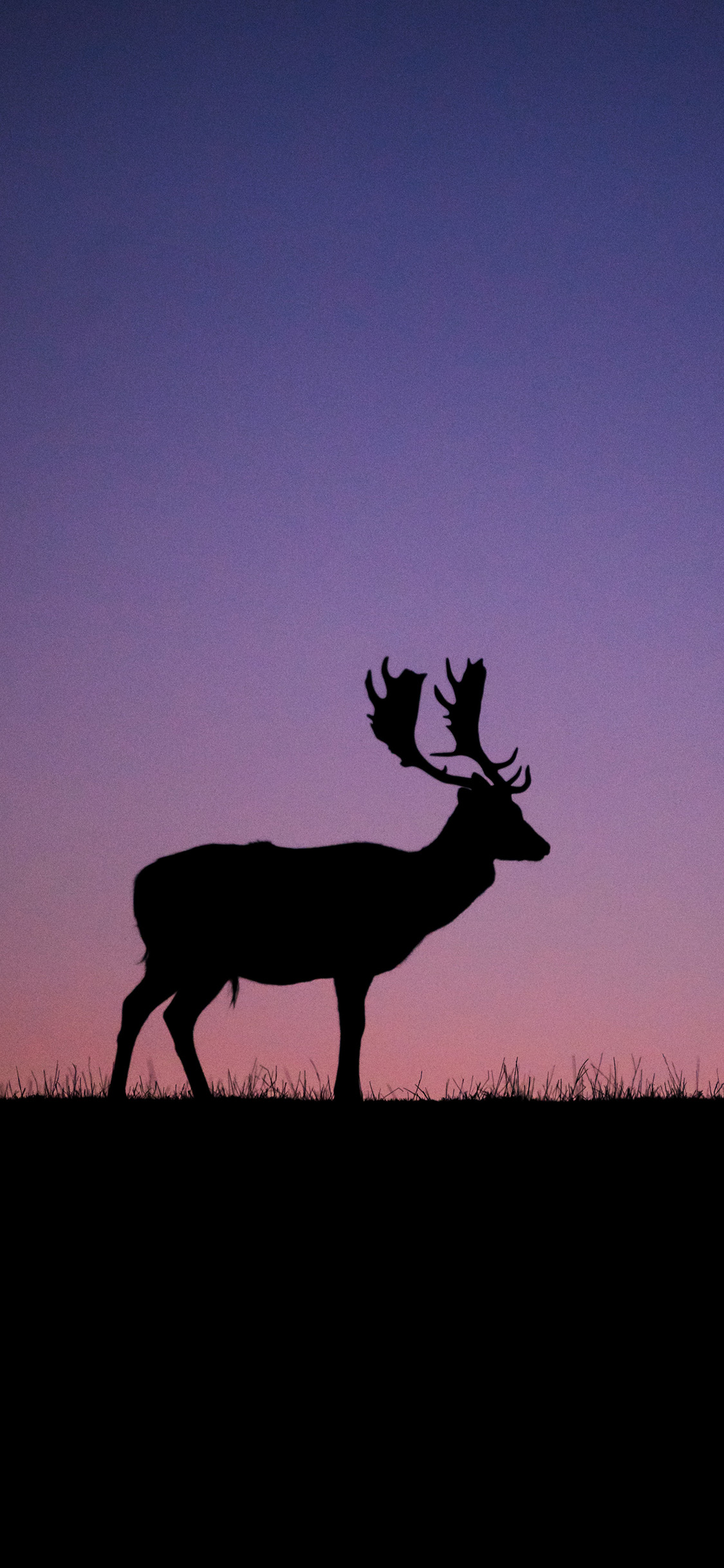 [2436×1125]星空 夜景 鹿 鹿角 苹果手机壁纸图片