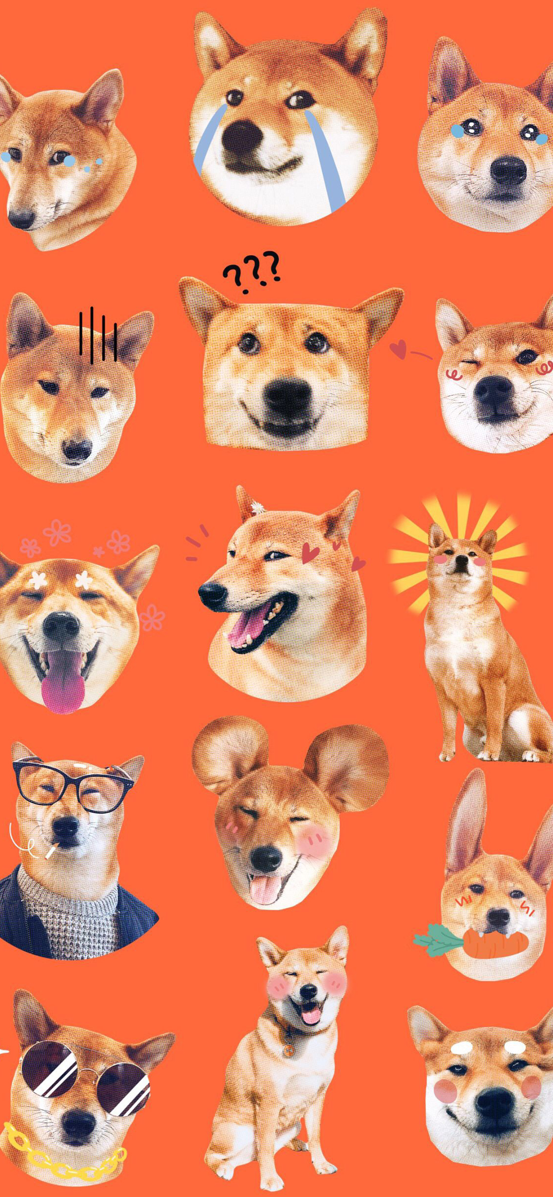 [2436×1125]柴犬 旺旺 狗 可爱 平铺 苹果手机壁纸图片