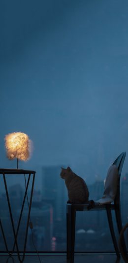 [2436x1125]椅子 猫咪 喵星 台灯 苹果手机壁纸图片