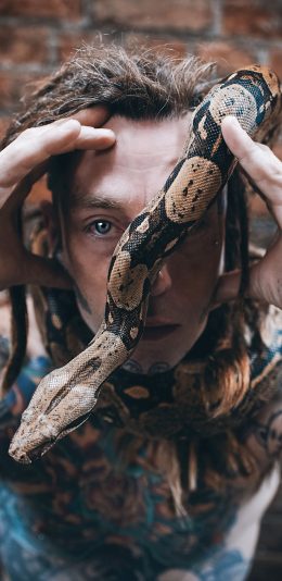 [2436x1125]欧美 型男 纹身 个性 蛇 苹果手机壁纸图片