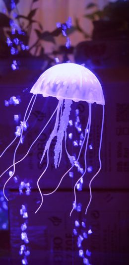 [2436x1125]水母 紫色 游动 海洋生物 透明 苹果手机壁纸图片