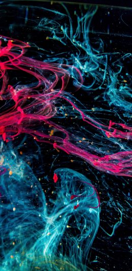 [2436x1125]水母 色彩 炫酷 海洋生物 苹果手机壁纸图片