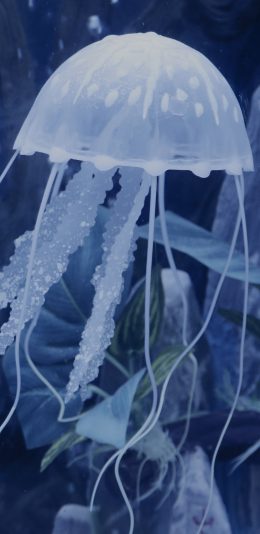 [2436x1125]水母 蓝色 游动 海洋生物 透明 苹果手机壁纸图片