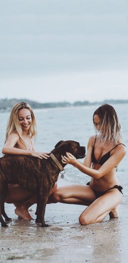 [2436x1125]沙滩 欧美美女 宠物狗 苹果手机壁纸图片