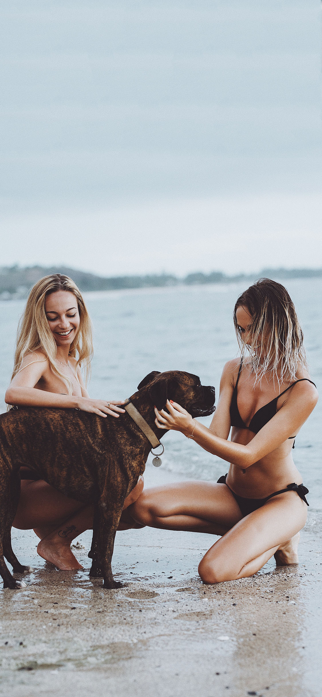 [2436×1125]沙滩 欧美美女 宠物狗 苹果手机壁纸图片