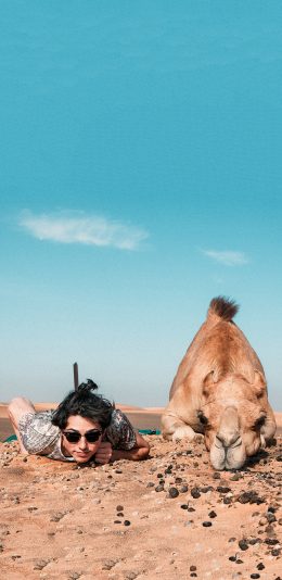 [2436x1125]沙漠 欧美 型男 骆驼 苹果手机壁纸图片