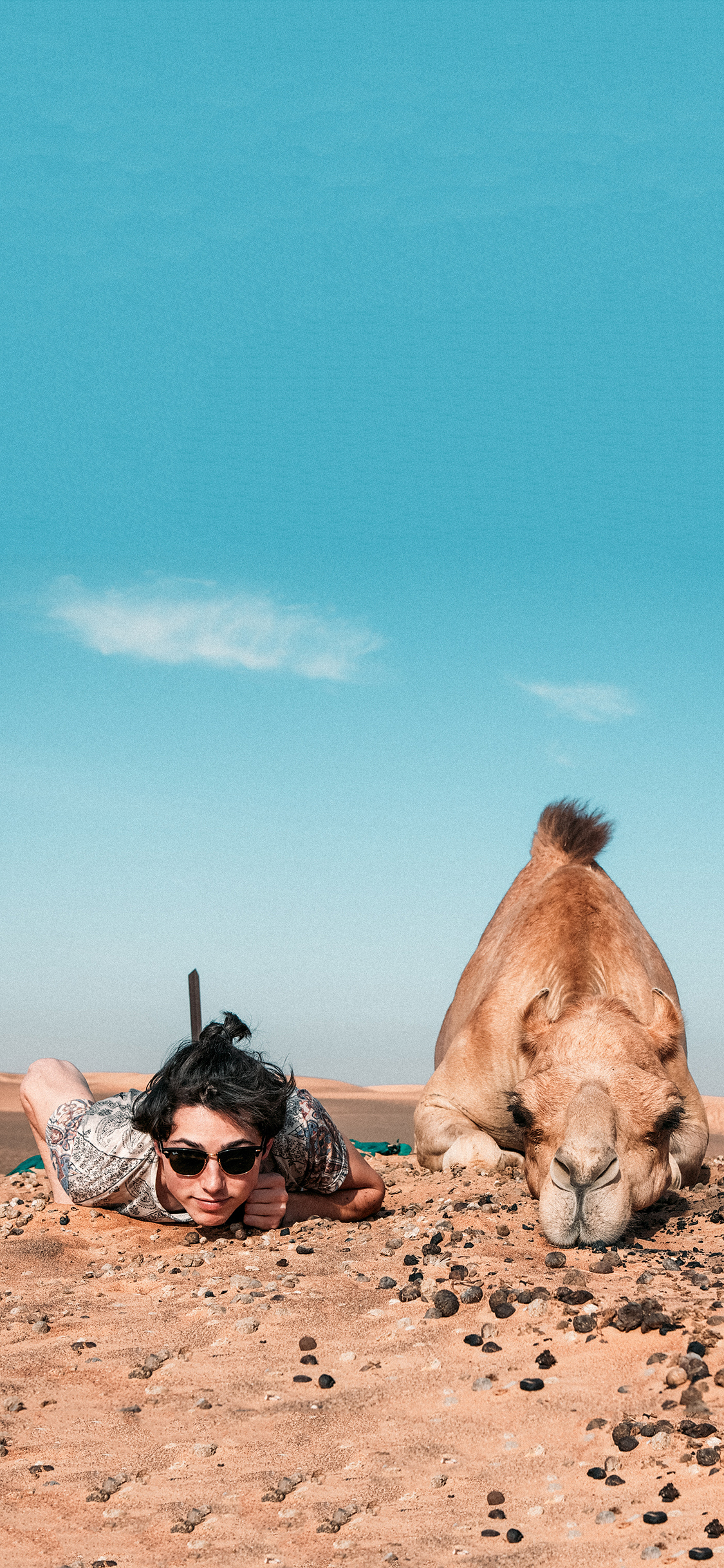 [2436×1125]沙漠 欧美 型男 骆驼 苹果手机壁纸图片