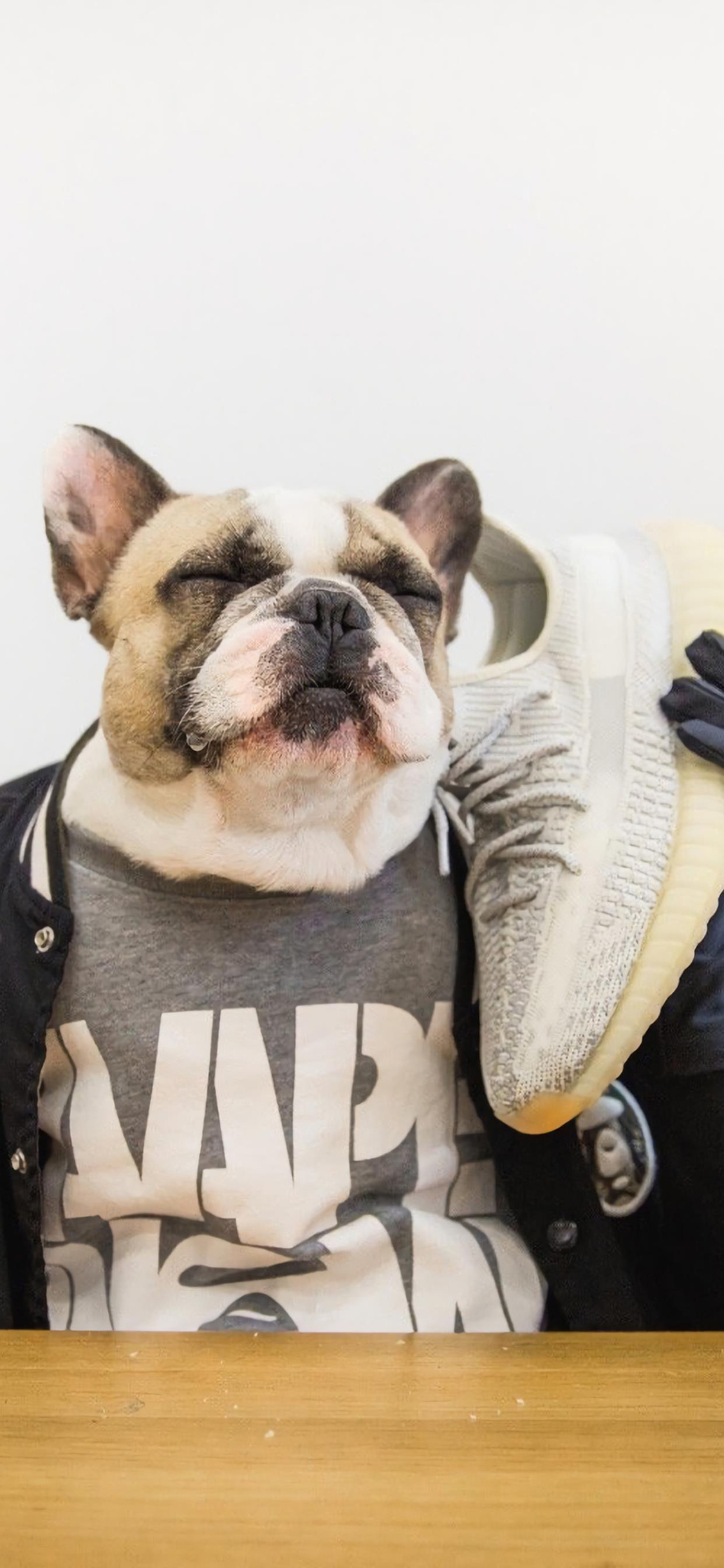 [2436×1125]法斗 犬 汪星人 宠物 椰子鞋 潮服 狗 苹果手机壁纸图片