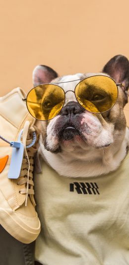 [2436x1125]法斗 犬 狗 汪星人 宠物 潮服 墨镜 耐克 鞋 苹果手机壁纸图片