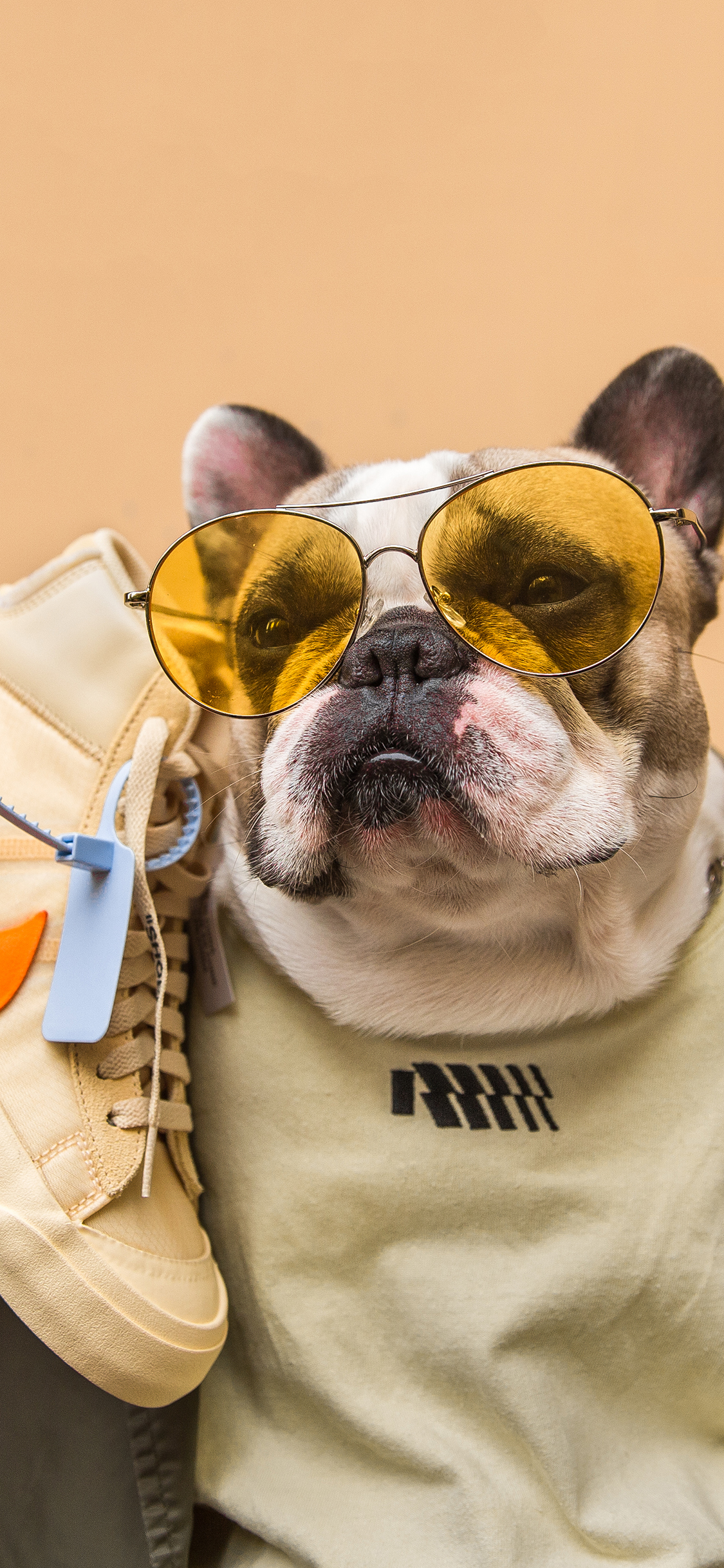 [2436×1125]法斗 犬 狗 汪星人 宠物 潮服 墨镜 耐克 鞋 苹果手机壁纸图片